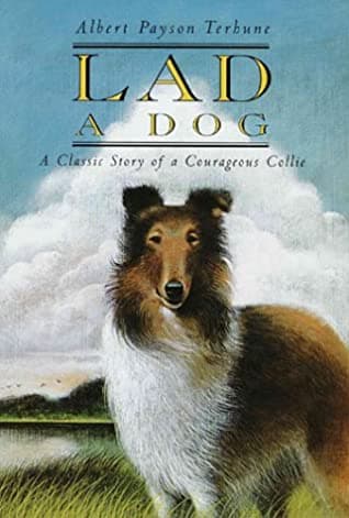 Lad: A Dog book cover