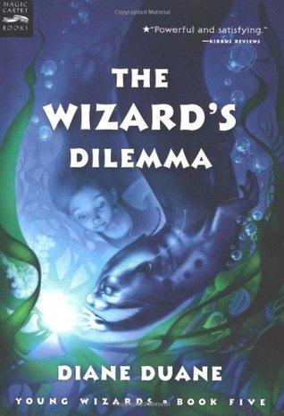 The Wizard's Dilemma book cover
