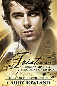 Series Book Cover Preview