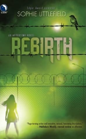 Series Book Cover Preview