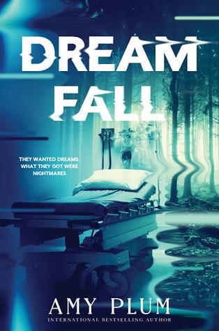 Dreamfall book cover