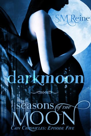 Darkmoon book cover