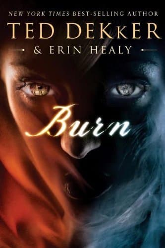 Burn book cover