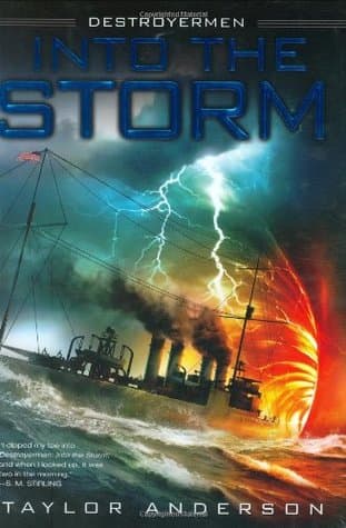 Into the Storm book cover