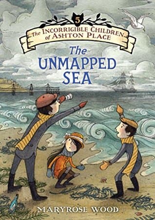 The Unmapped Sea book cover