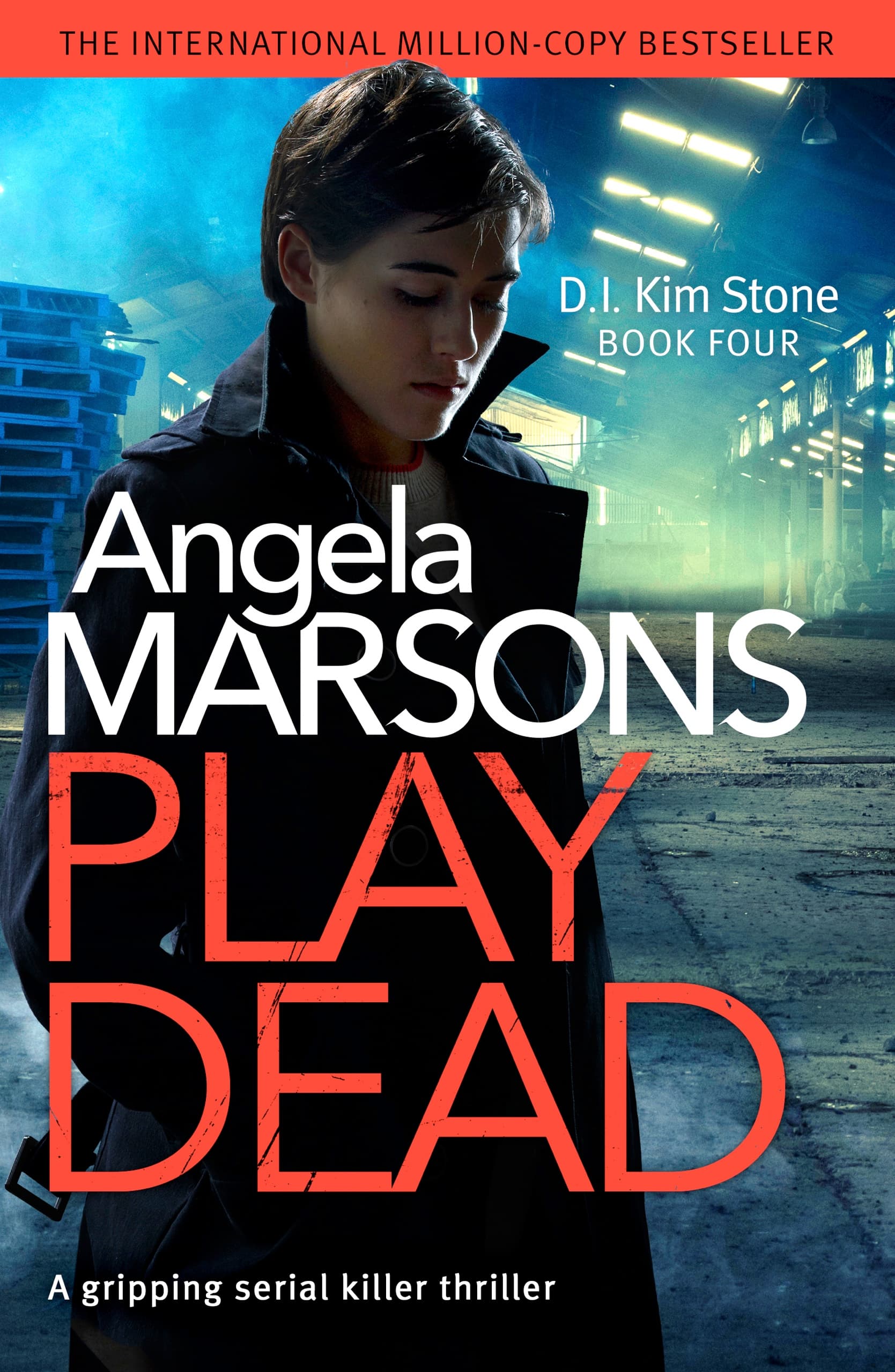 Play Dead book cover