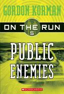 Public Enemies book cover
