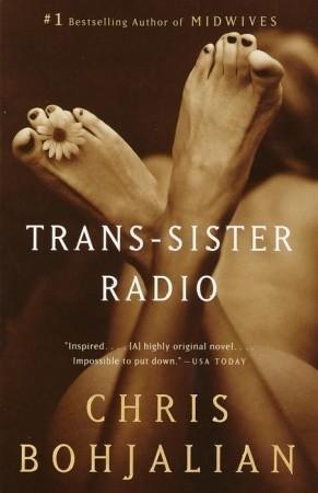 Trans-Sister Radio book cover