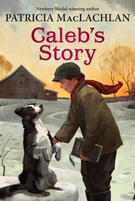 Series Book Cover Preview