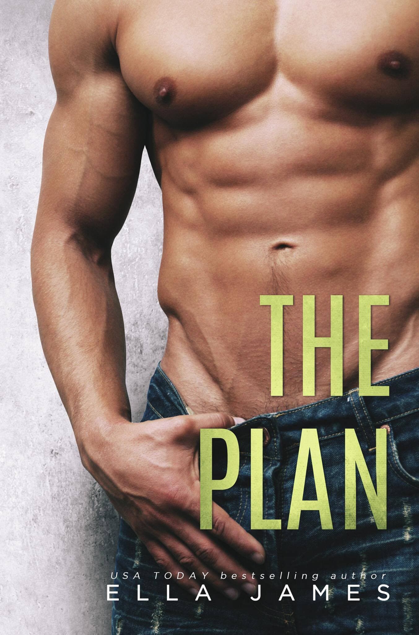 The Plan book cover