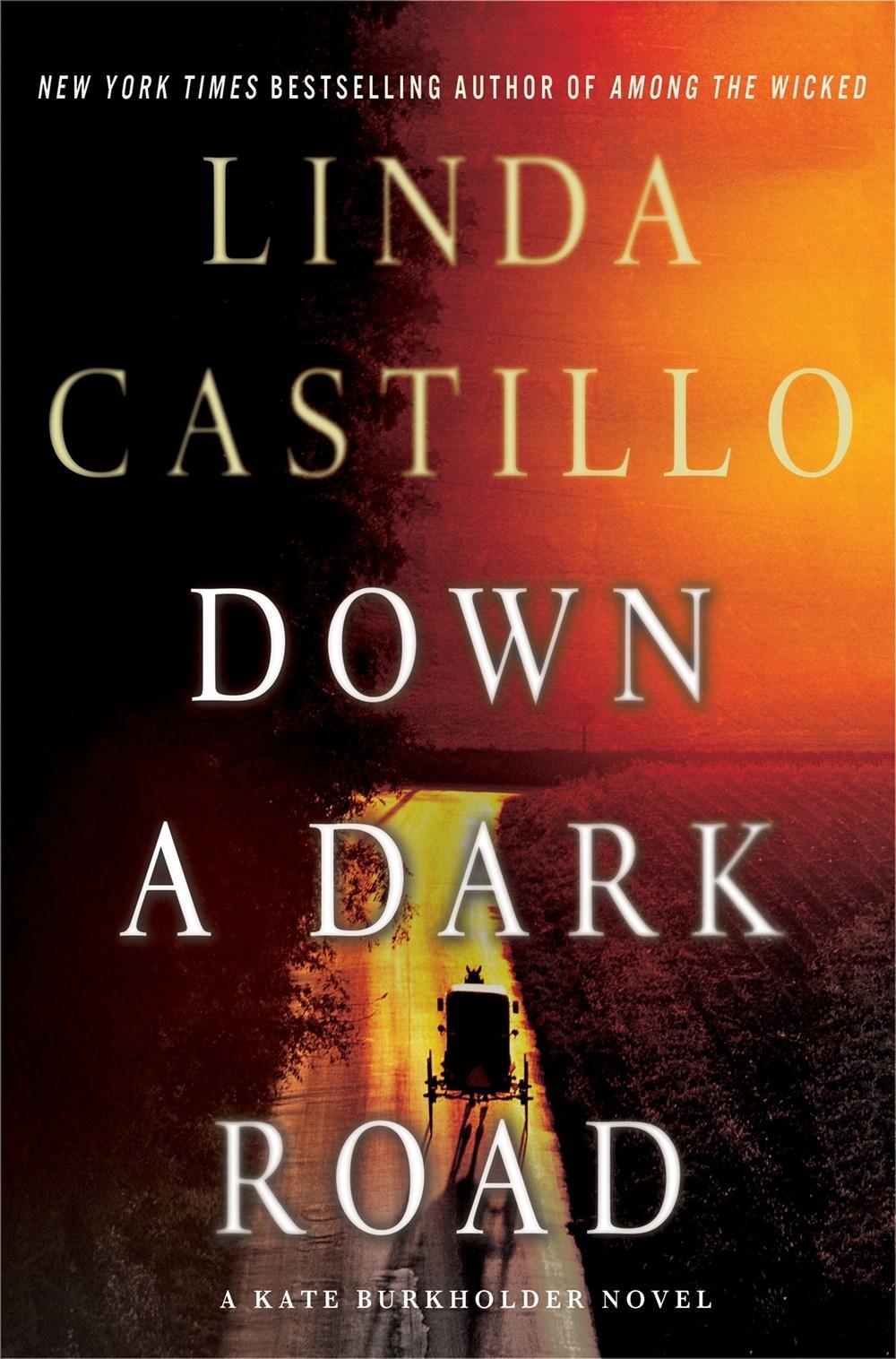 Down a Dark Road book cover