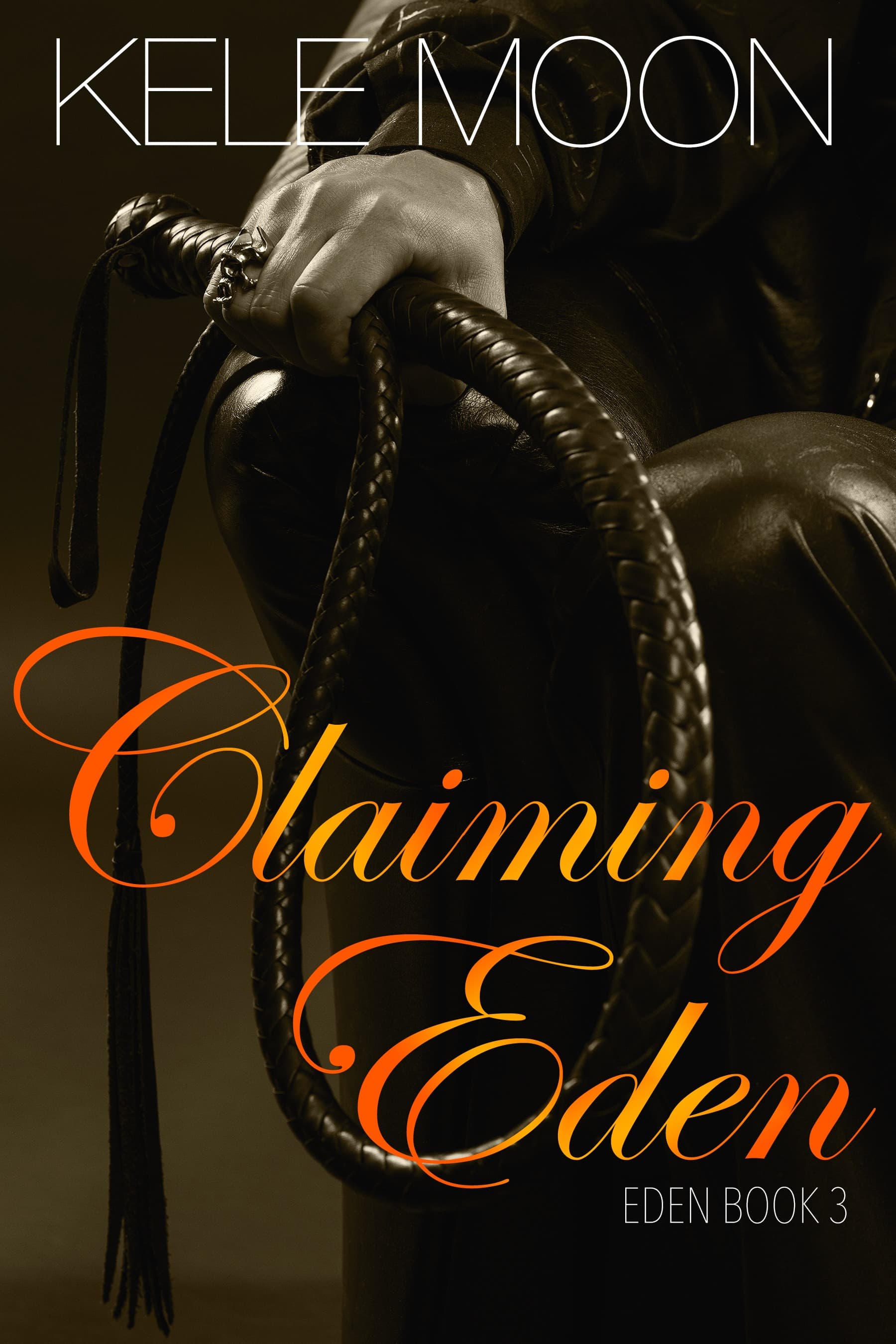 Series Book Cover Preview