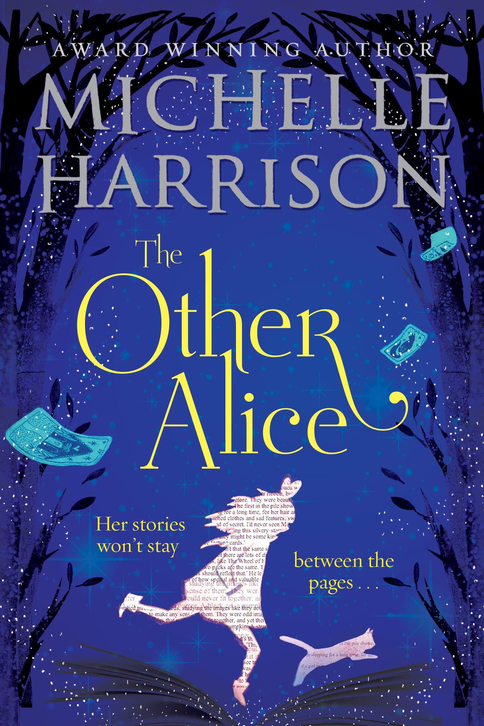 The Other Alice book cover
