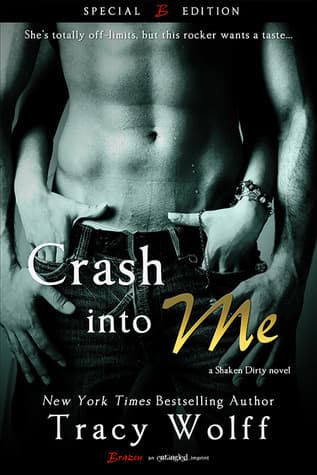 Crash into Me book cover