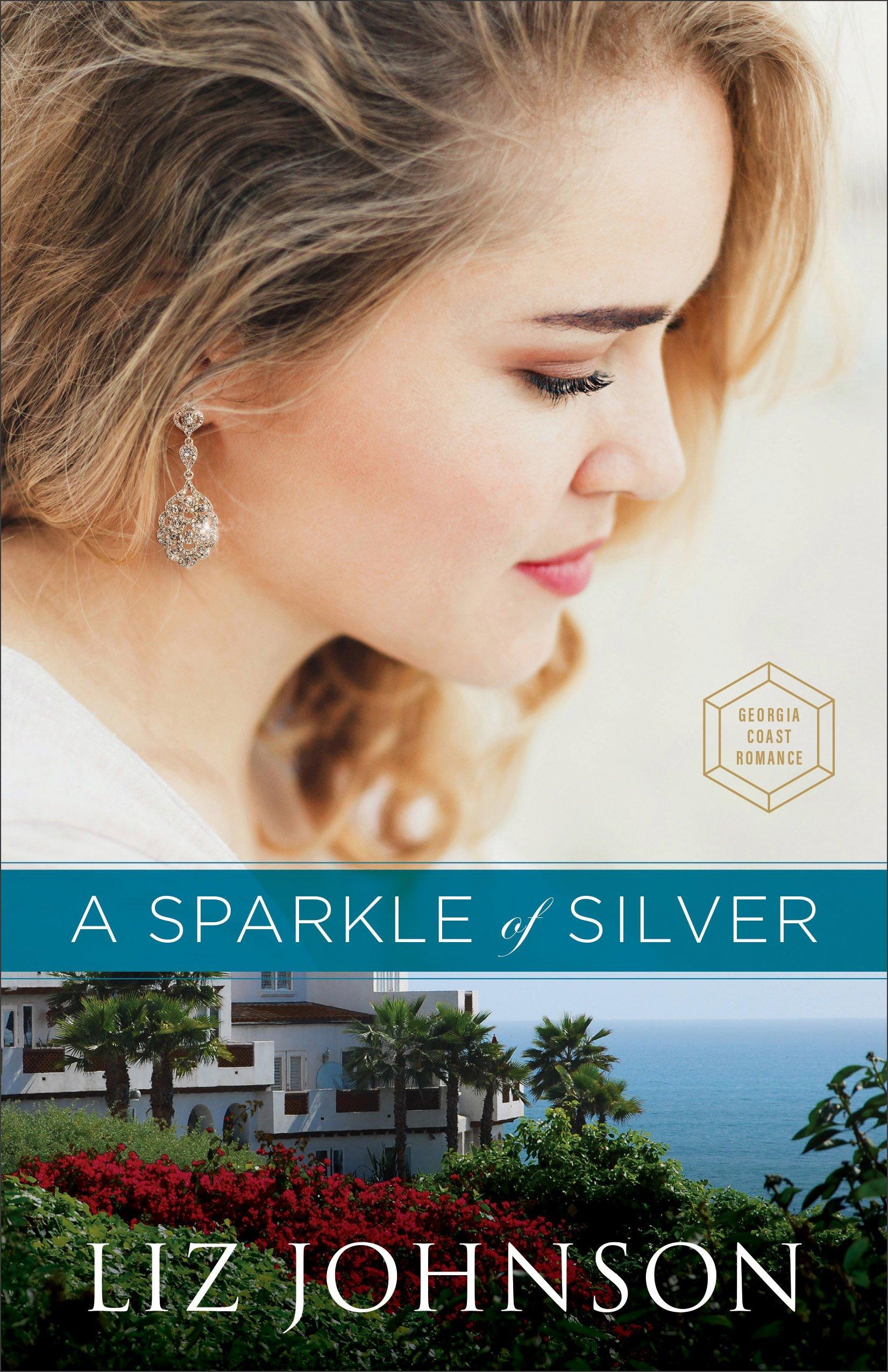 A Sparkle of Silver book cover