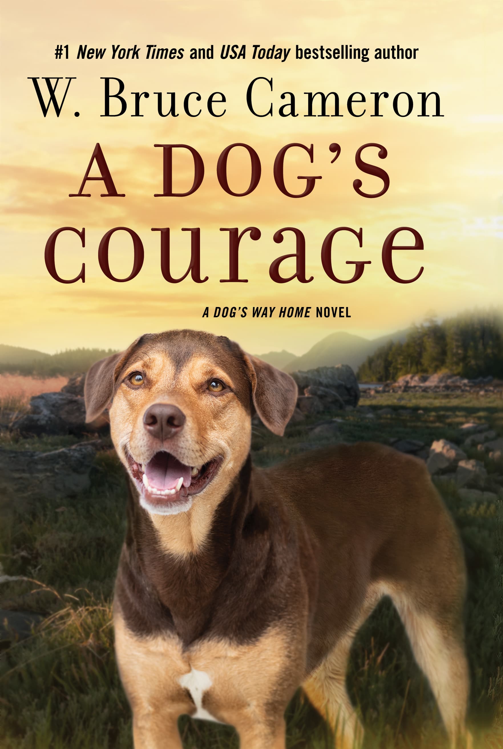 A Dog's Courage book cover