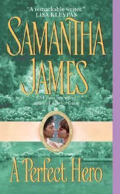A Perfect Hero book cover