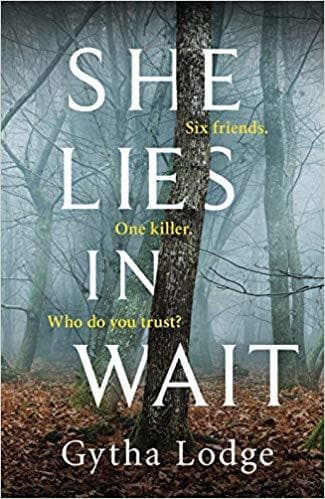 She Lies in Wait book cover