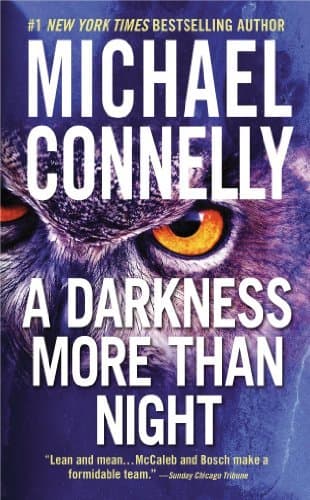 A Darkness More Than Night book cover