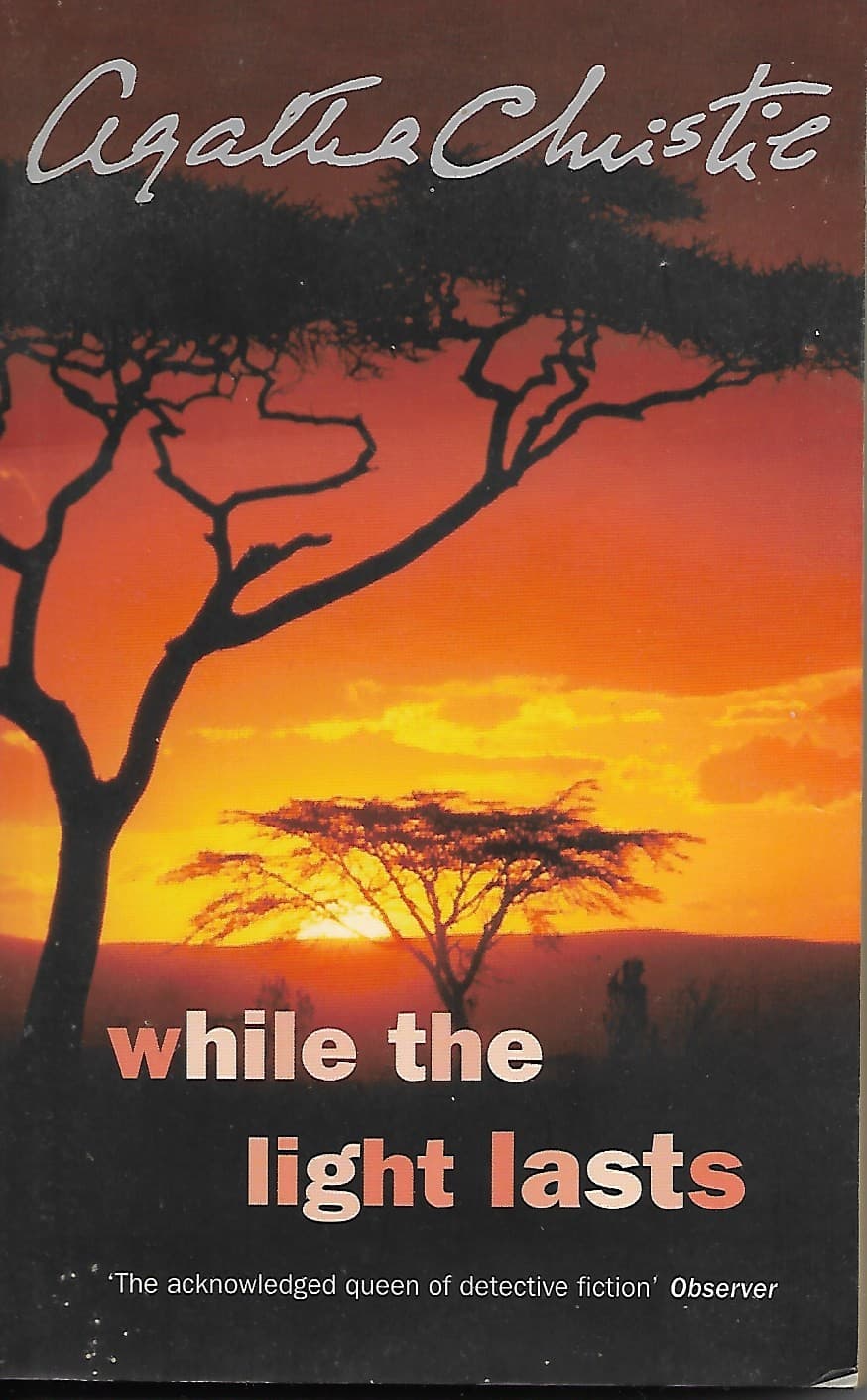 While the Light Lasts book cover