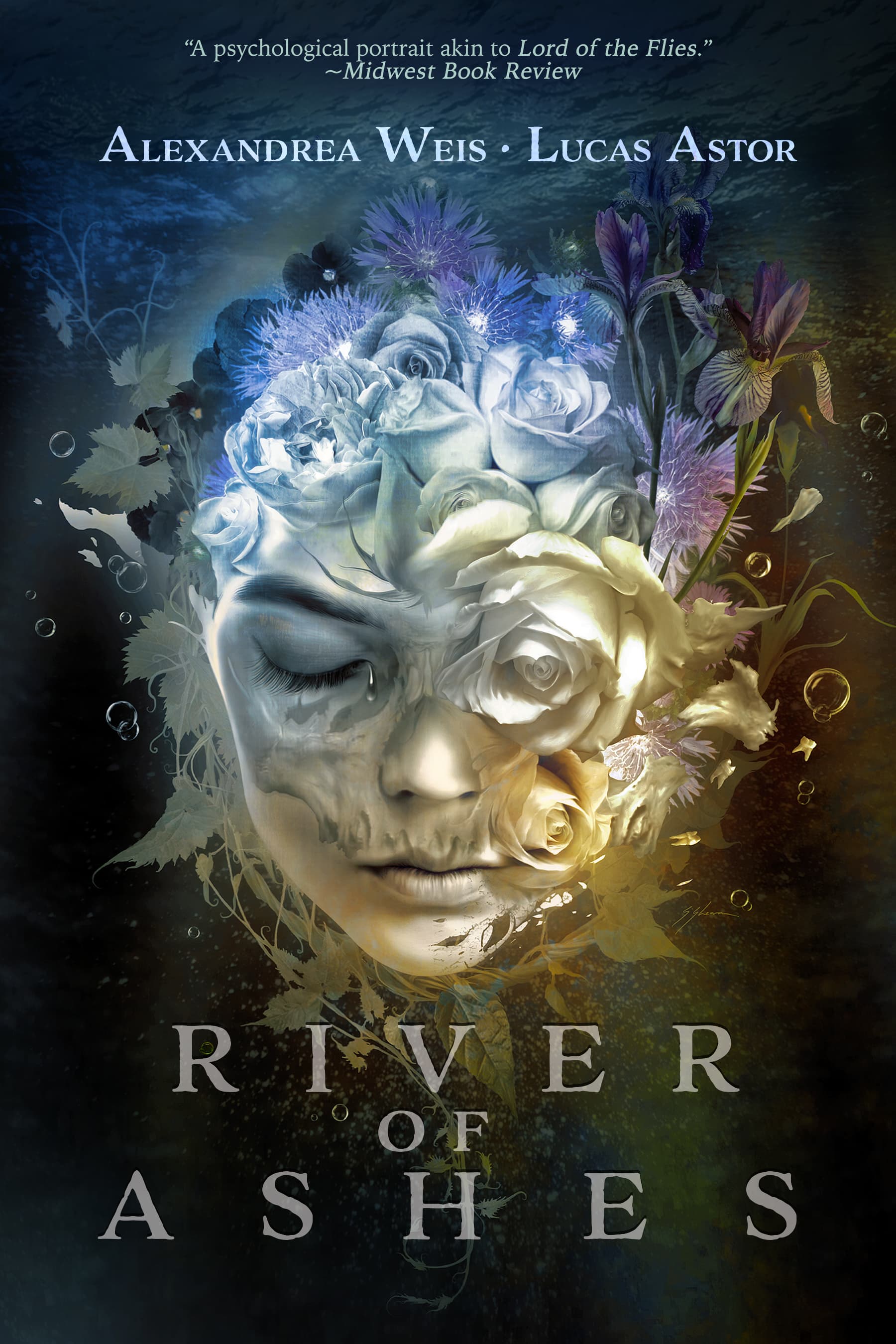 Series Book Cover Preview