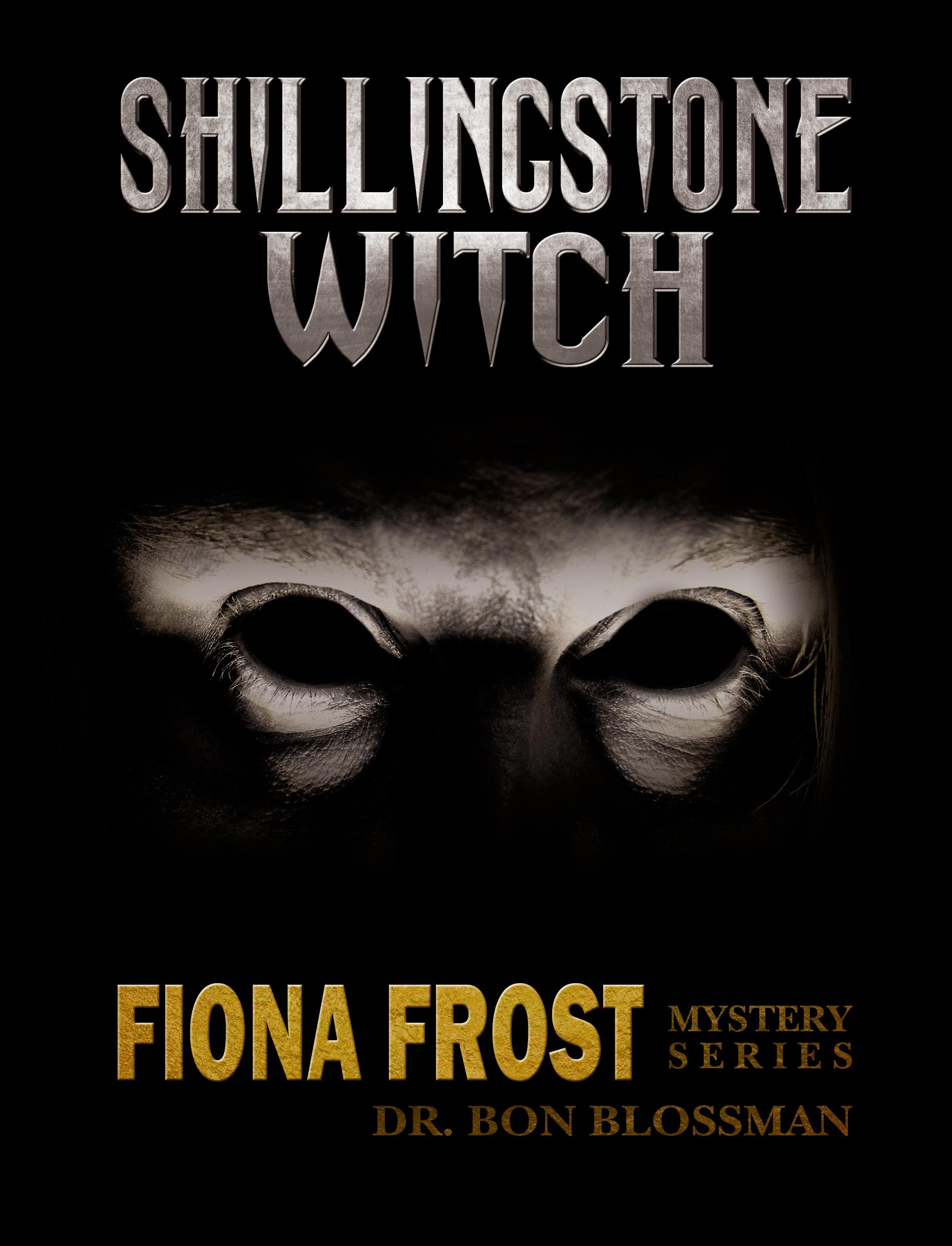 Shillingstone Witch book cover