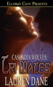 Series Book Cover Preview