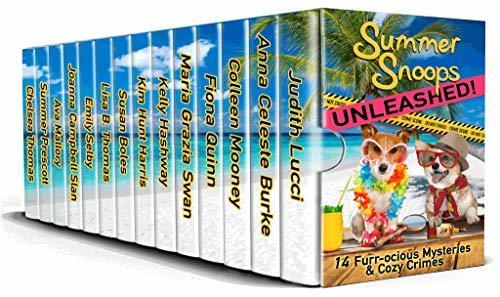 Summer Snoops Unleashed book cover