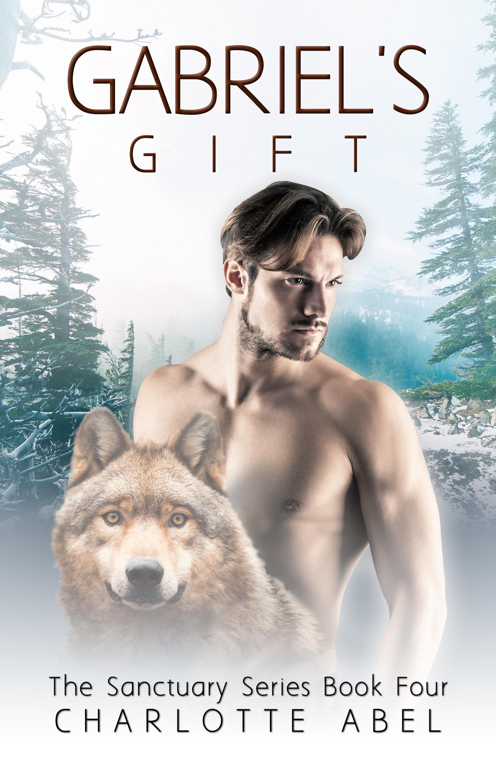 Gabriel's Gift book cover