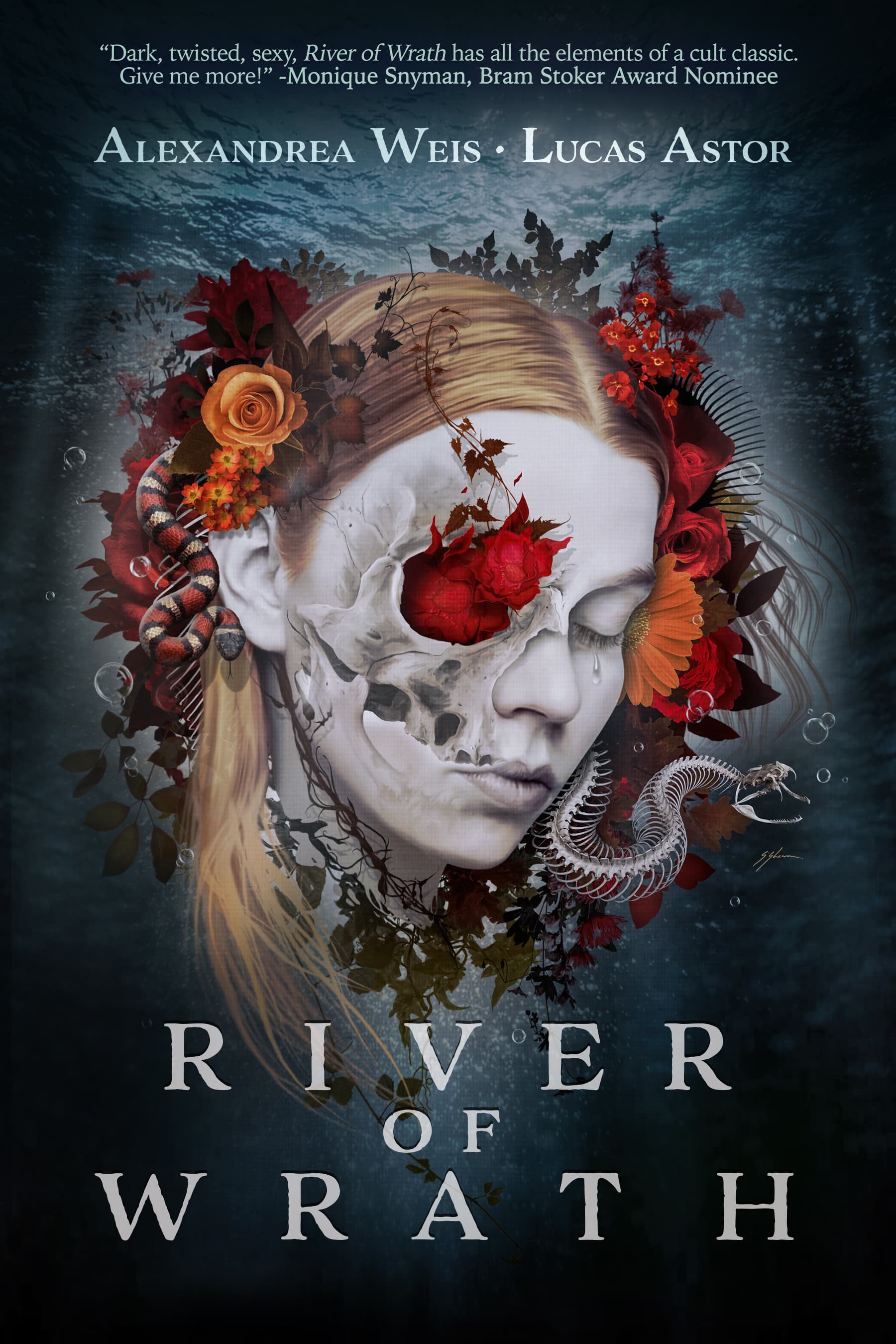 Series Book Cover Preview
