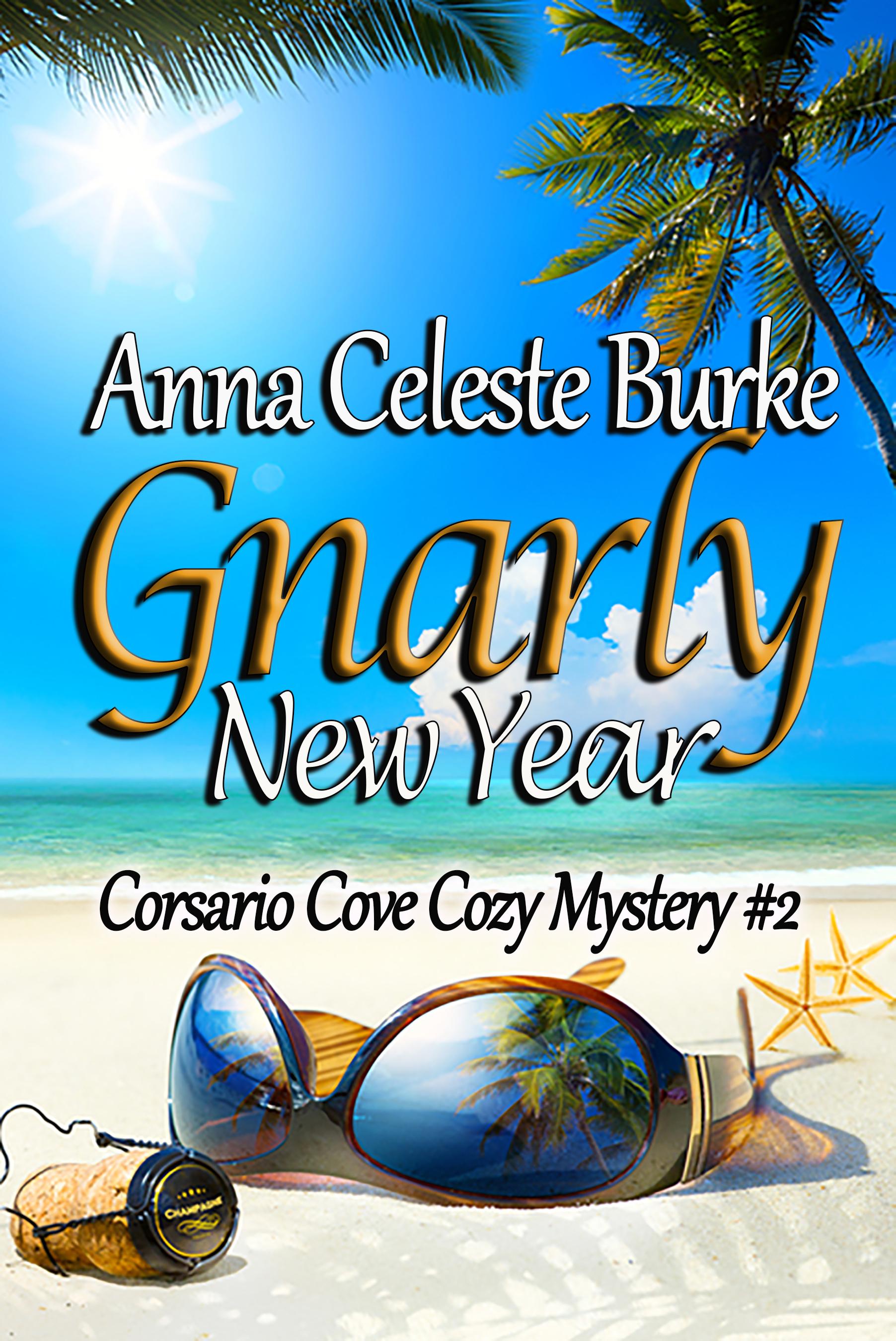Gnarly New Year book cover