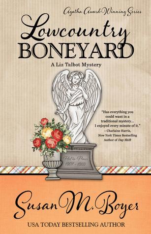 Series Book Cover Preview