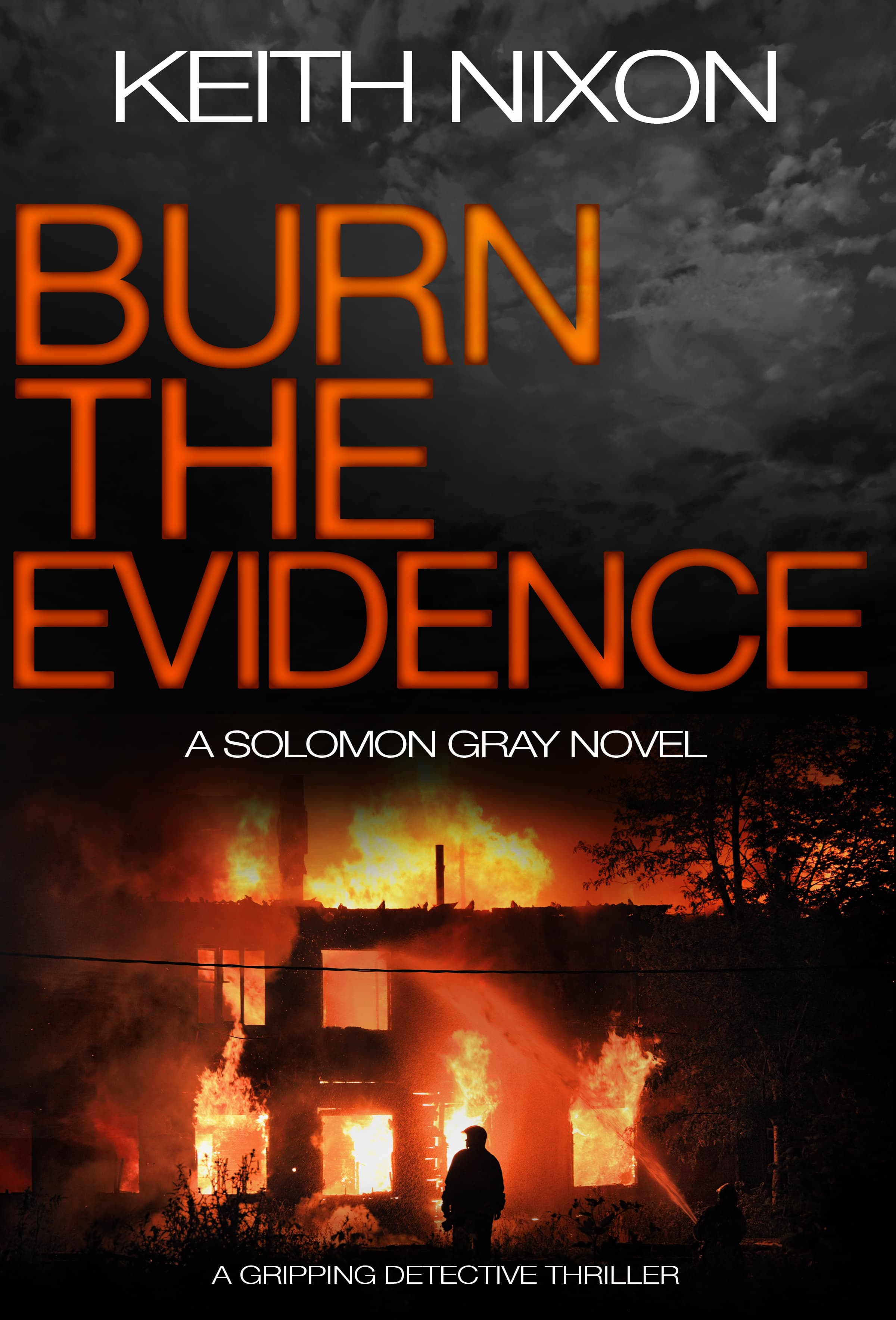 Burn The Evidence book cover