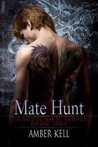 Series Book Cover Preview