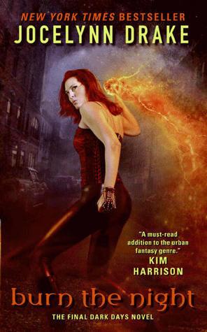 Burn the Night book cover