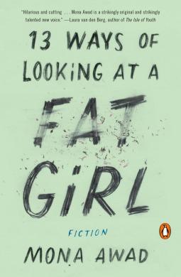 13 Ways of Looking at a Fat Girl book cover