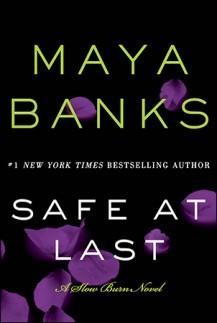 Safe at Last book cover