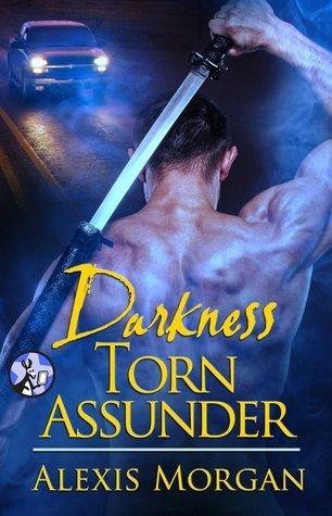 Darkness Torn Asunder book cover