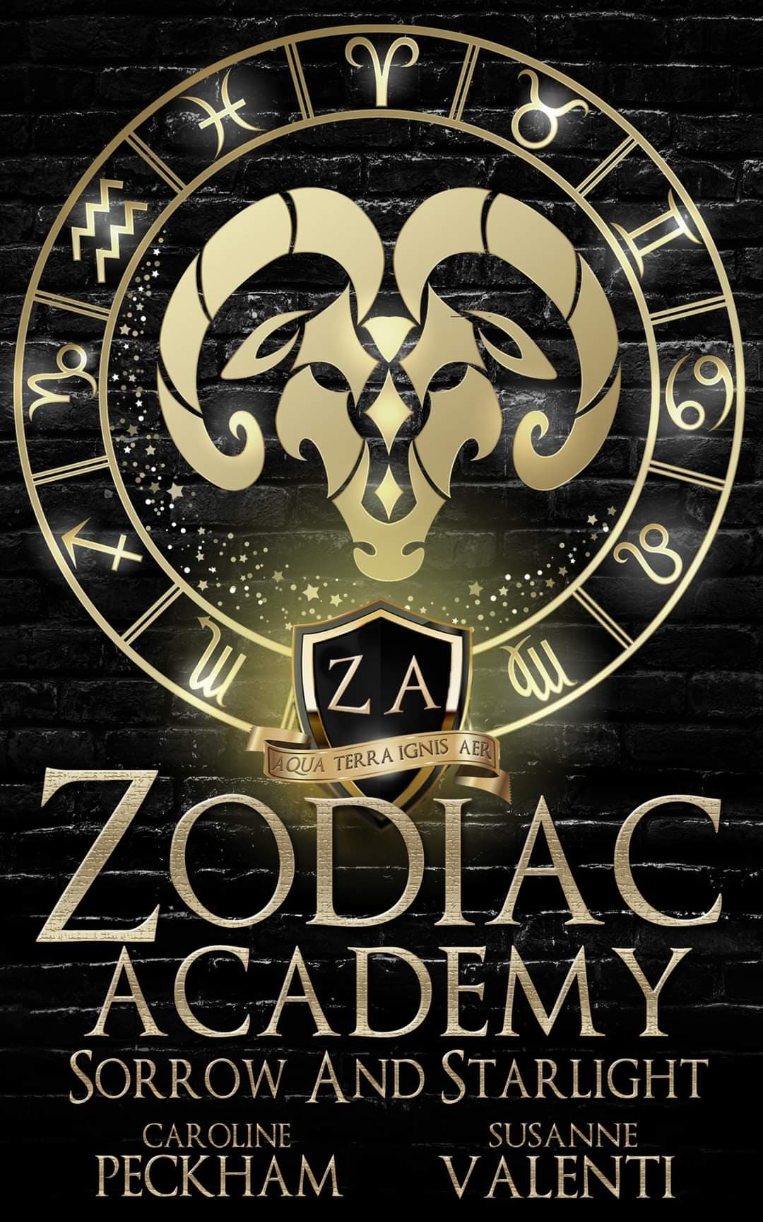 Sorrow and Starlight book cover