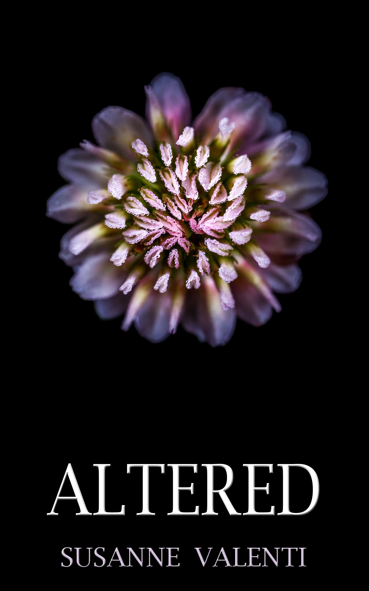 Altered book cover