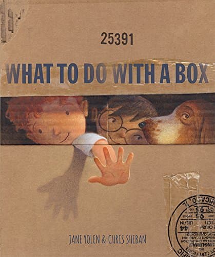What To Do With a Box book cover