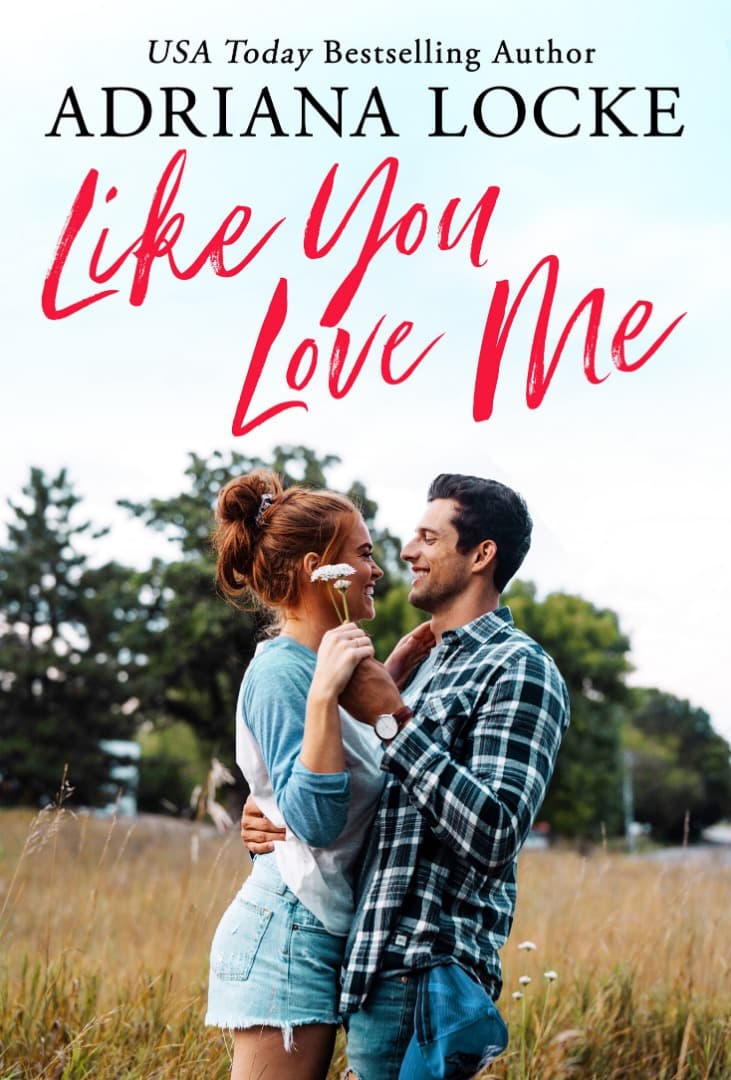 Like You Love Me book cover