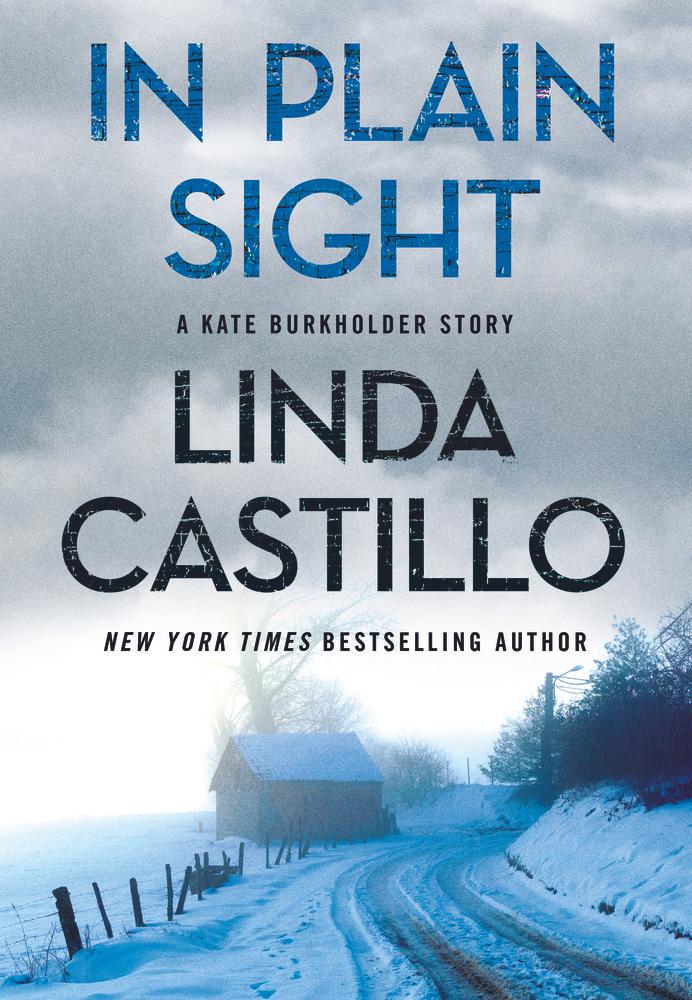 In Plain Sight book cover
