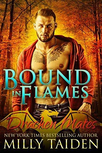 Bound in Flames book cover