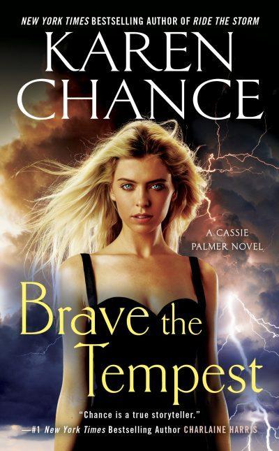 Brave the Tempest book cover