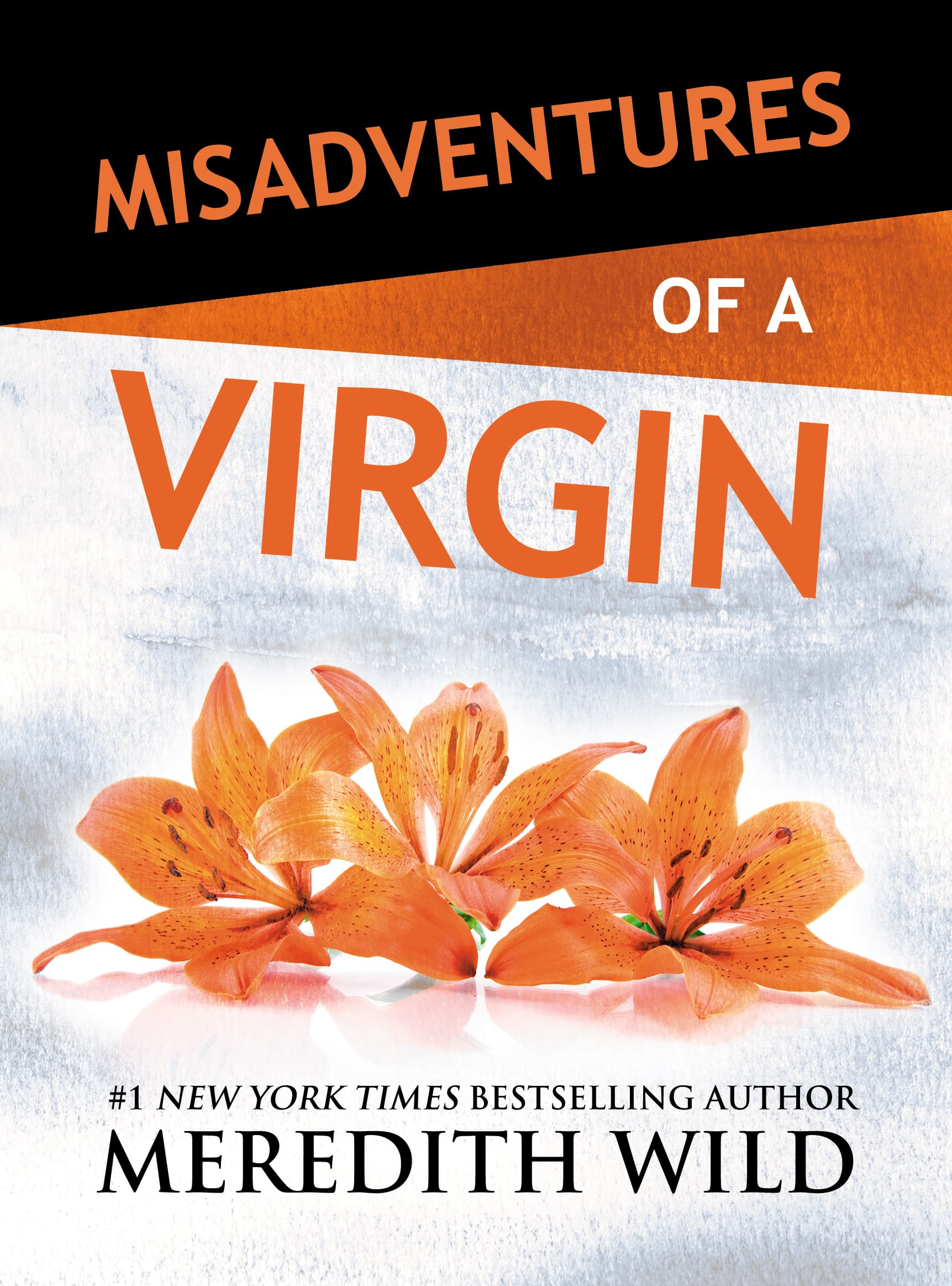 Misadventures of a Virgin book cover