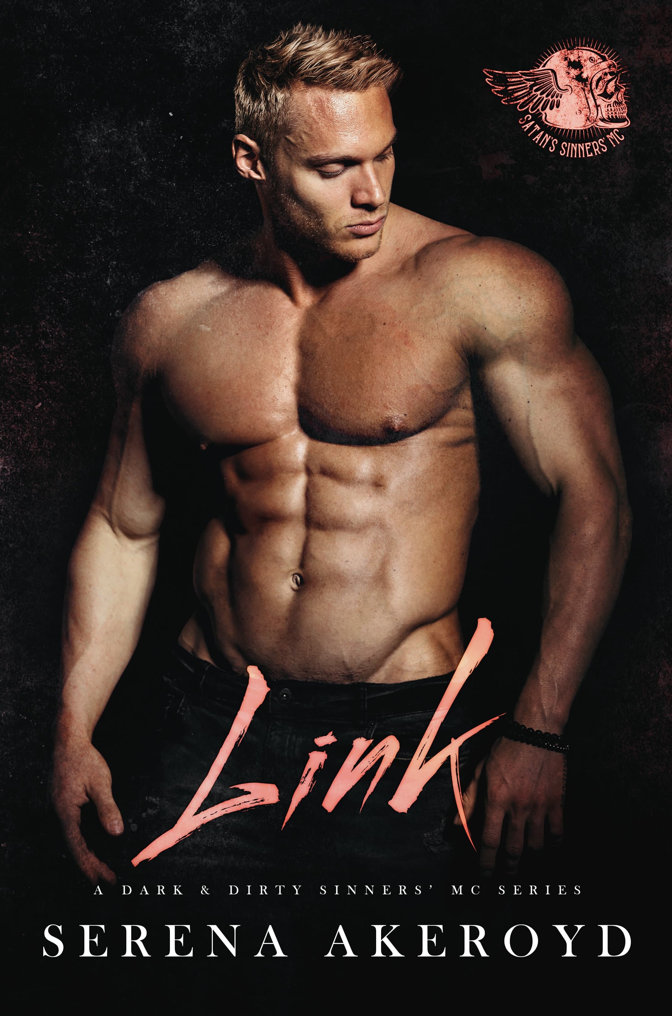 Link book cover
