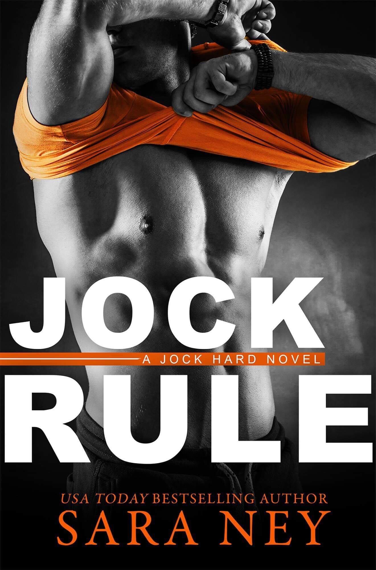 Series Book Cover Preview