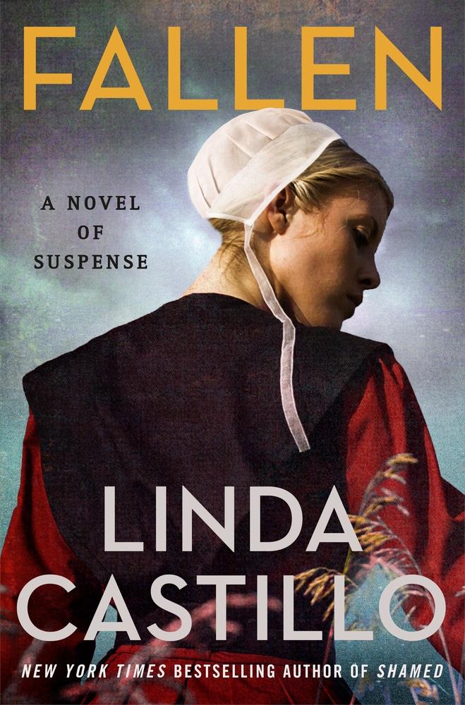 Fallen book cover