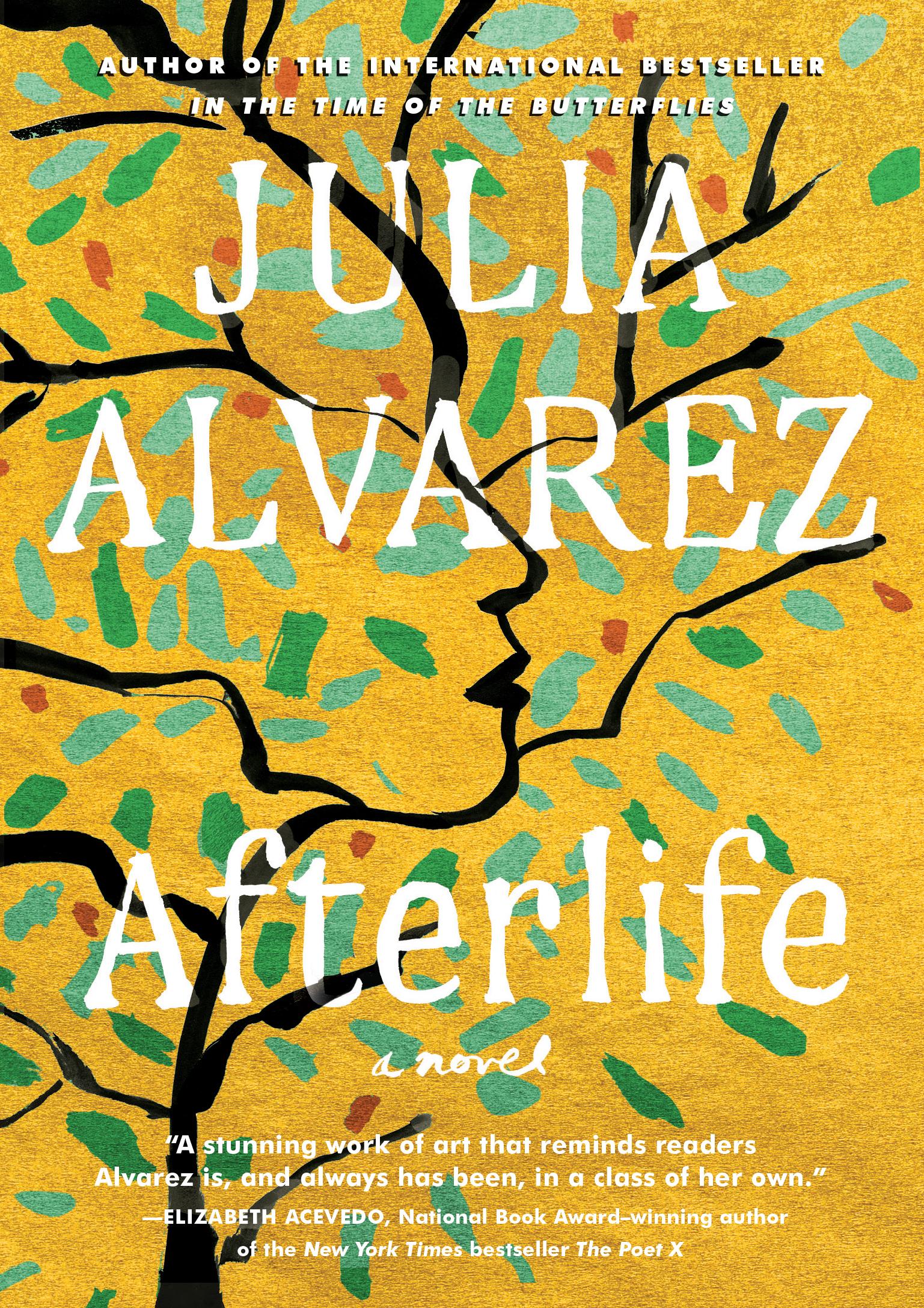 Afterlife book cover